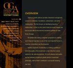Image of Optimum Growth Advisors web site.